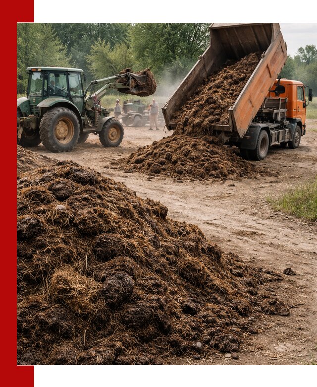 Доставка навоза самосвалами в Калининграде для сельхозпотребностей