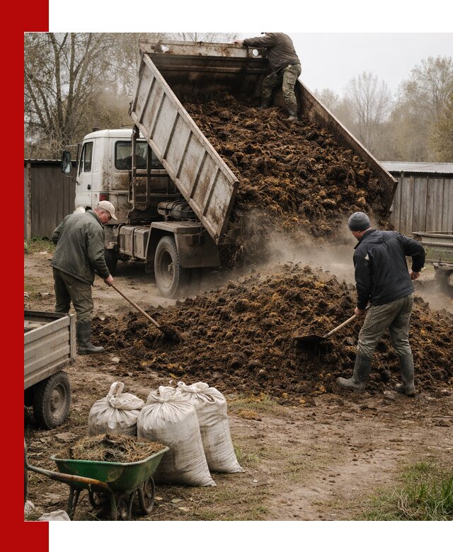 Доставка коровьего навоза самосвалом в Калининграде
